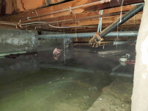 Local water damage restoration in IN