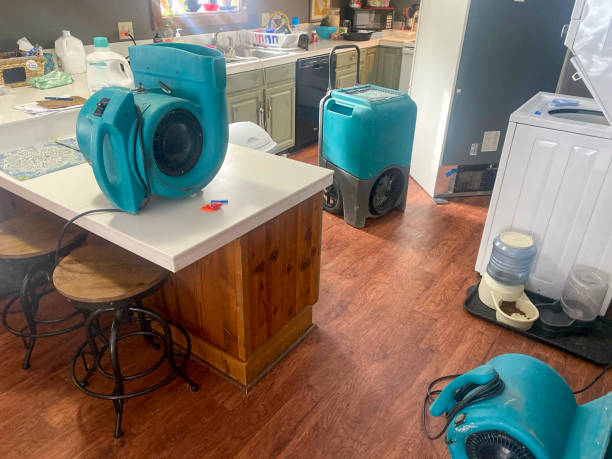 Best Water damage restoration near me  in Sheridan, IN