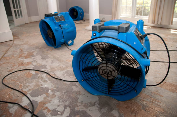 Best Water damage cleanup near me  in Sheridan, IN
