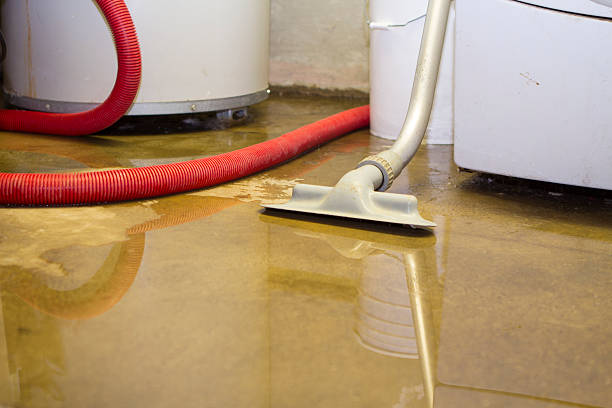 Best Flood restoration services  in Sheridan, IN
