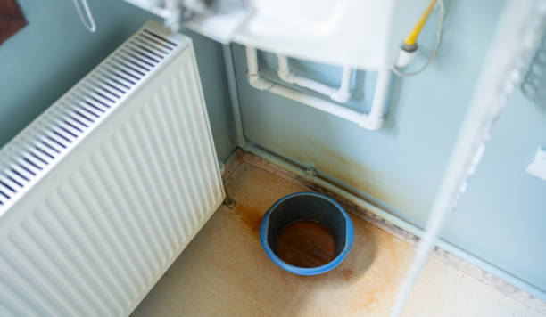 Best Water damage restoration insurance claims  in Sheridan, IN