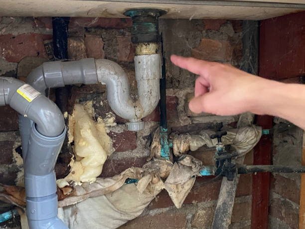 Best 24/7 water damage repair  in Sheridan, IN
