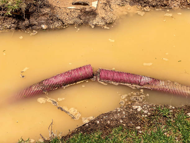 Best Flood damage cleanup  in Sheridan, IN
