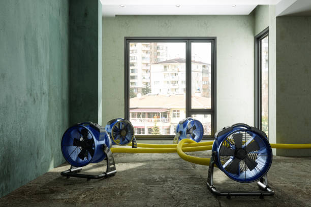 Best Emergency water damage restoration  in Sheridan, IN